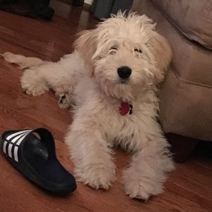 Meet your Posher, Angie